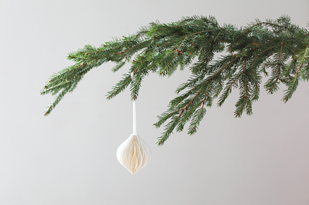 Christmas Branch