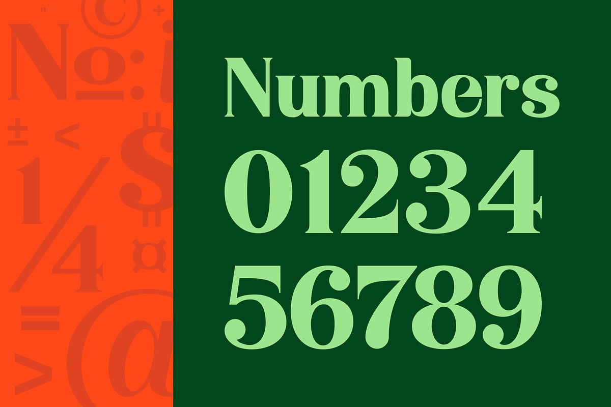 Niecher-Serif Display, a Serif Font by takoliko (Photo 11 of 13)