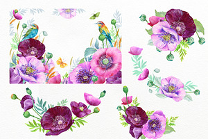 Purple Poppy Watercolor Clipart