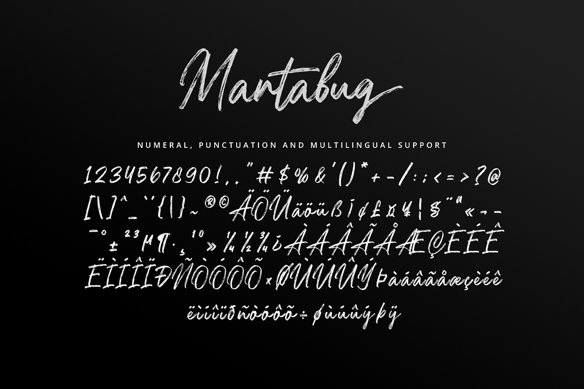 Martabug - Handwritten Brush Font, a Script Font by overlaytemplates (Photo 6 of 6)