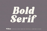 Willow. Typeface Bold Serif, a Serif Font by Kleffont Studio (Thumbnail 7 of 10)