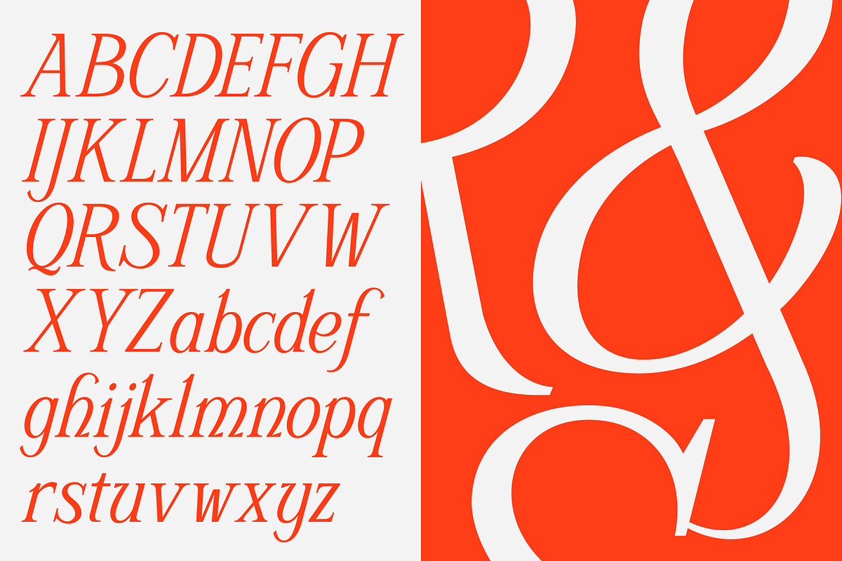 Schriftolia — Elegant Serif Italic, a Serif Font by Invasi Studio (Photo 10 of 12)