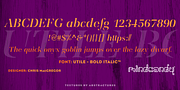 Utile™, a Serif Font by MINDCANDY (Thumbnail 4 of 4)