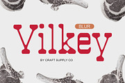 Vilkey Blur, a Slab Serif Font by Craft Supply Co. (Thumbnail 1 of 8)