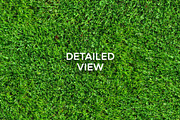 20 Seamless Grass Texture Pack, a Texture Graphic by Top Textures (Thumbnail 2 of 9)