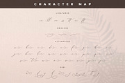 Storyline Regario Font Duo, a Serif Font by Storytype Studio (Thumbnail 14 of 15)