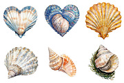 Watercolor Seashell Clipart Bundle, an Illustration by Pixels.Craft (Thumbnail 2 of 7)
