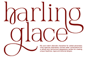 Miregle Modern Elegant Serif Font, a Serif Font by Rasio Studio (Thumbnail 8 of 11)