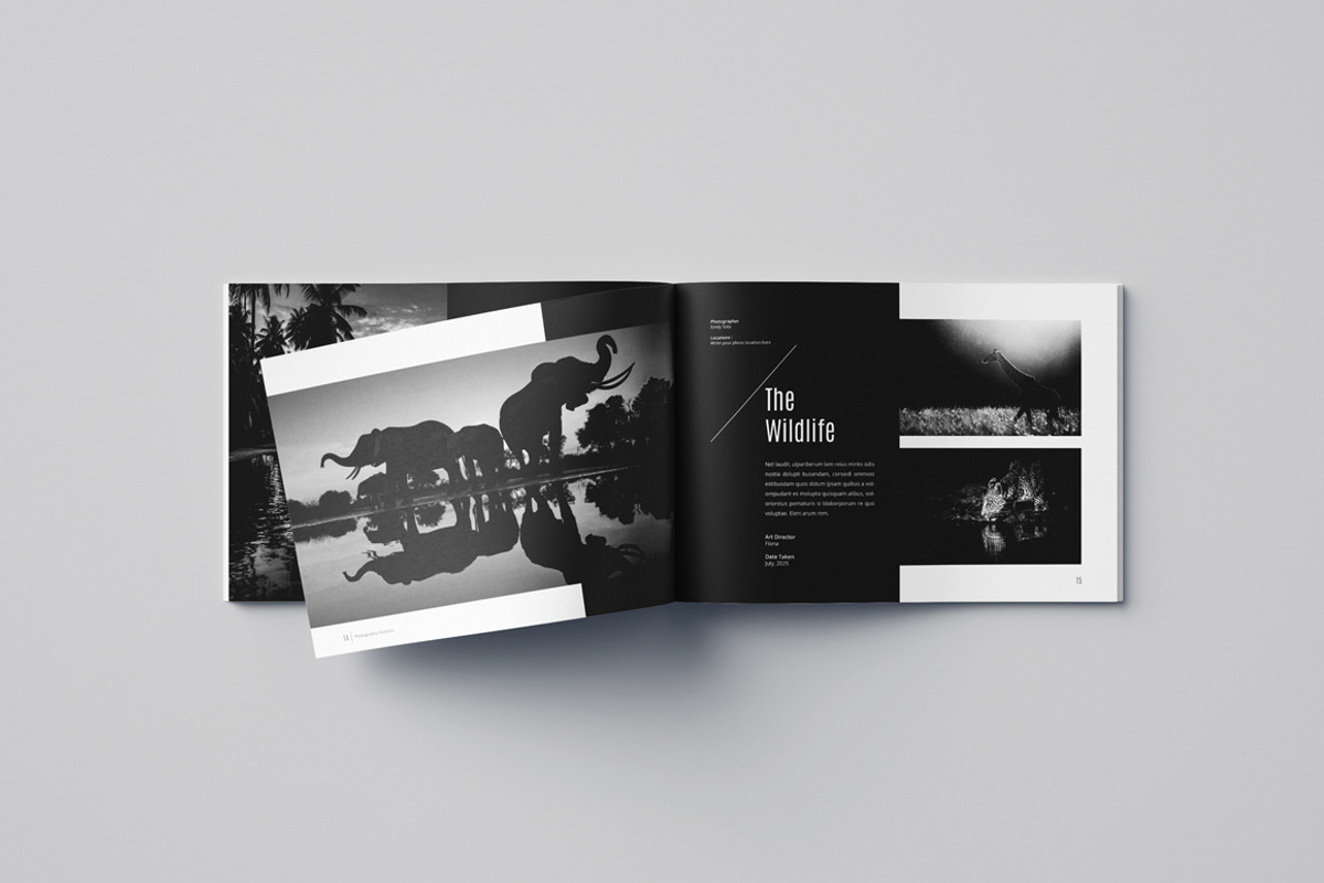 Photography Portfolio Template, a Brochure Template by adekfotografia (Photo 8 of 14)