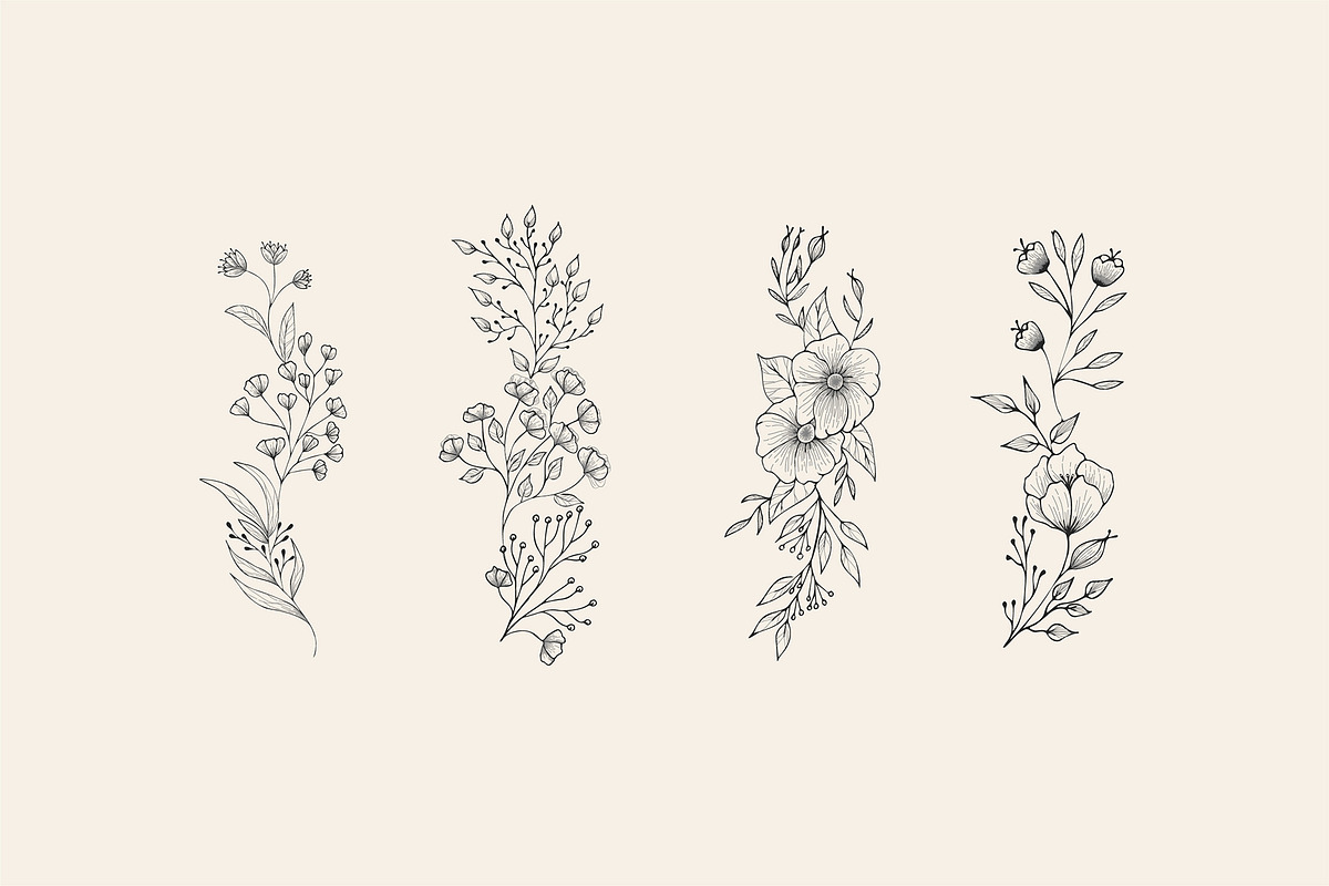 Hand drawn foliage collection, a Decorative Illustration by Merfin (Photo 4 of 5)
