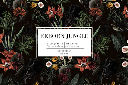 Reborn Jungle, a Work Illustration by Luiz da Rolt