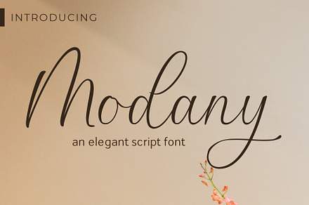 Modany - Elegant Script