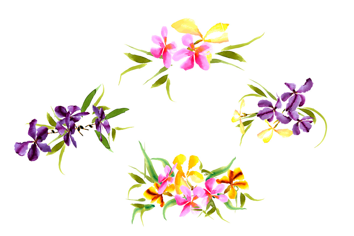 №3 Set watercolor irises vector, a Decorative Illustration by Rasveta (Photo 3 of 5)