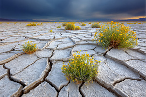 At sunset, the Badwater area in, a Holiday Photo by ZinetroN