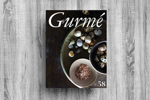 Magazine Indesign Template