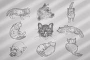 Cats Vector Set, an Illustration by Retro Machine (Thumbnail 14 of 21)