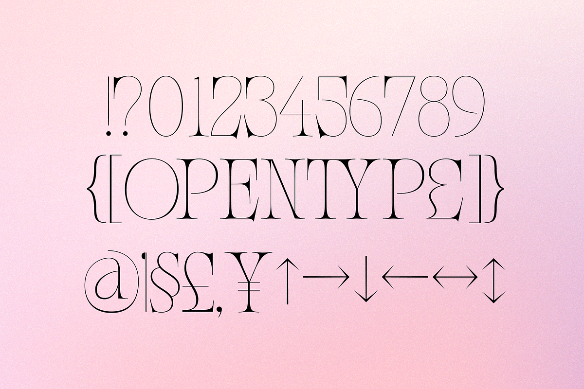 Meal - Serif Display Family, a Serif Font by Holyline Design (Photo 9 of 15)