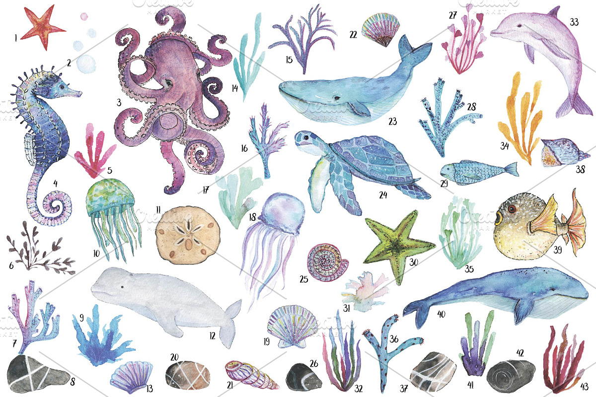 43 elements of undersea world, an Animal Illustration by digital_essence (Photo 2 of 5)