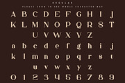 Bungalow Typeface - 9 fonts, a Serif Font by VP Fonts (Thumbnail 10 of 19)