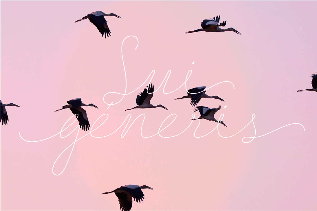 BLACK FRIDAY Delirio Font Family, a Script Font by graffistyling (Photo 9 of 20)