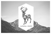 Animals Illustrations, an Animal Illustration by Isbela  (Thumbnail 4 of 5)