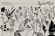 Wabi-Sabi Art Design, an Object Graphic by Collection by VY (Thumbnail 8 of 9)