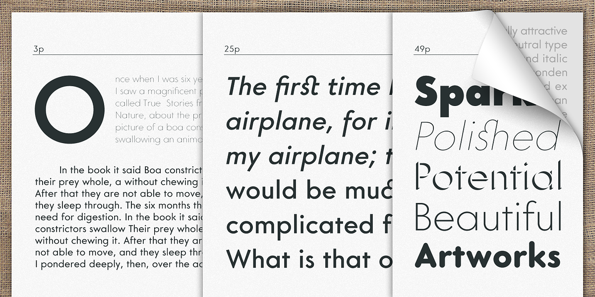 Core Sans G, a Sans Serif Font by S-Core (Photo 4 of 5)