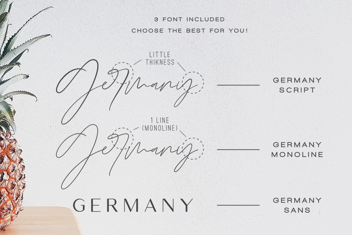 Germany - Luxury Font Duo preview 4