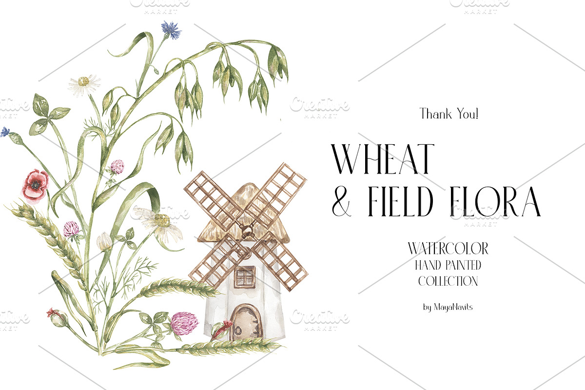 Watercolor Wheat & Field Flora, a Decorative Illustration by MayaNavits (Photo 13 of 13)