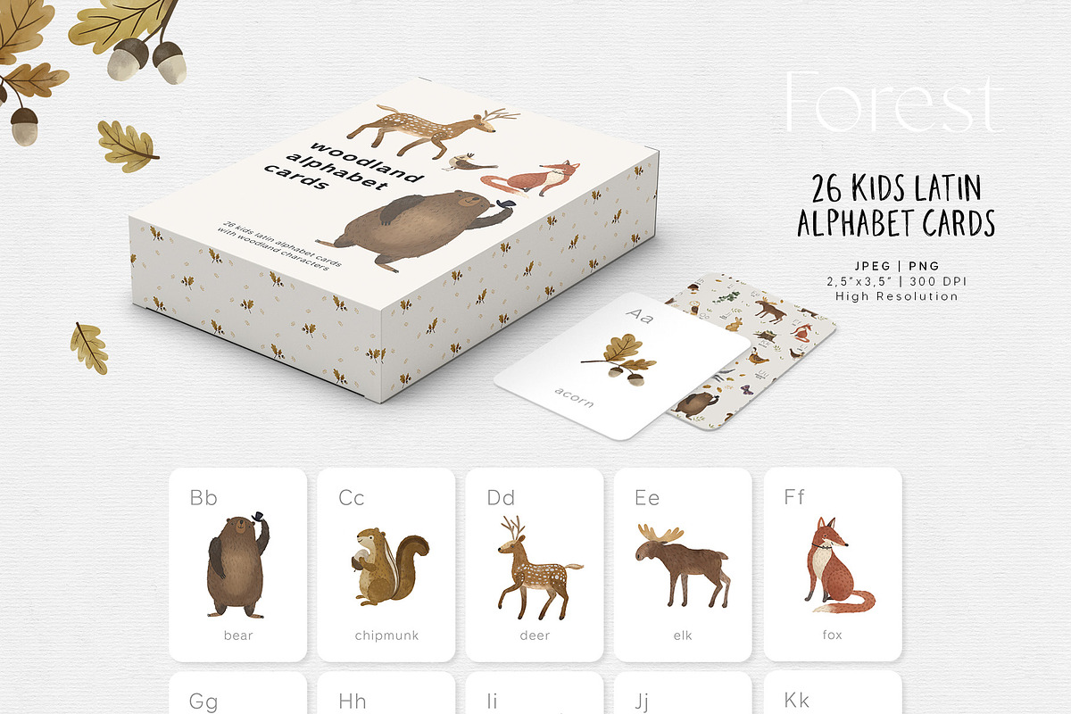 Forest animals. Alphabet & Patterns, an Animal Illustration by annartdreams (Photo 9 of 11)