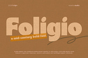 Foligio Font, a Sans Serif Font by Rasiorise Studio (Thumbnail 1 of 13)