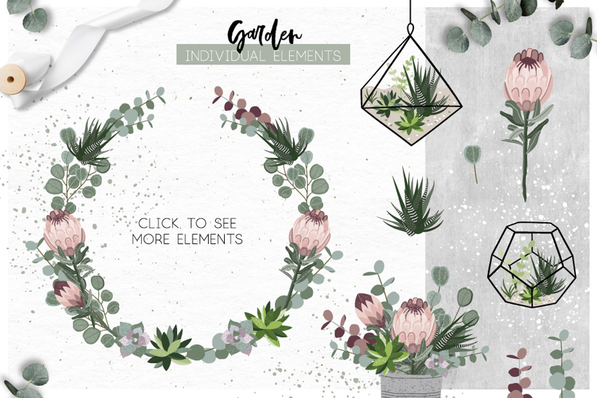Protea - botanical garden collection, an Illustration by lokko studio (Photo 3 of 7)