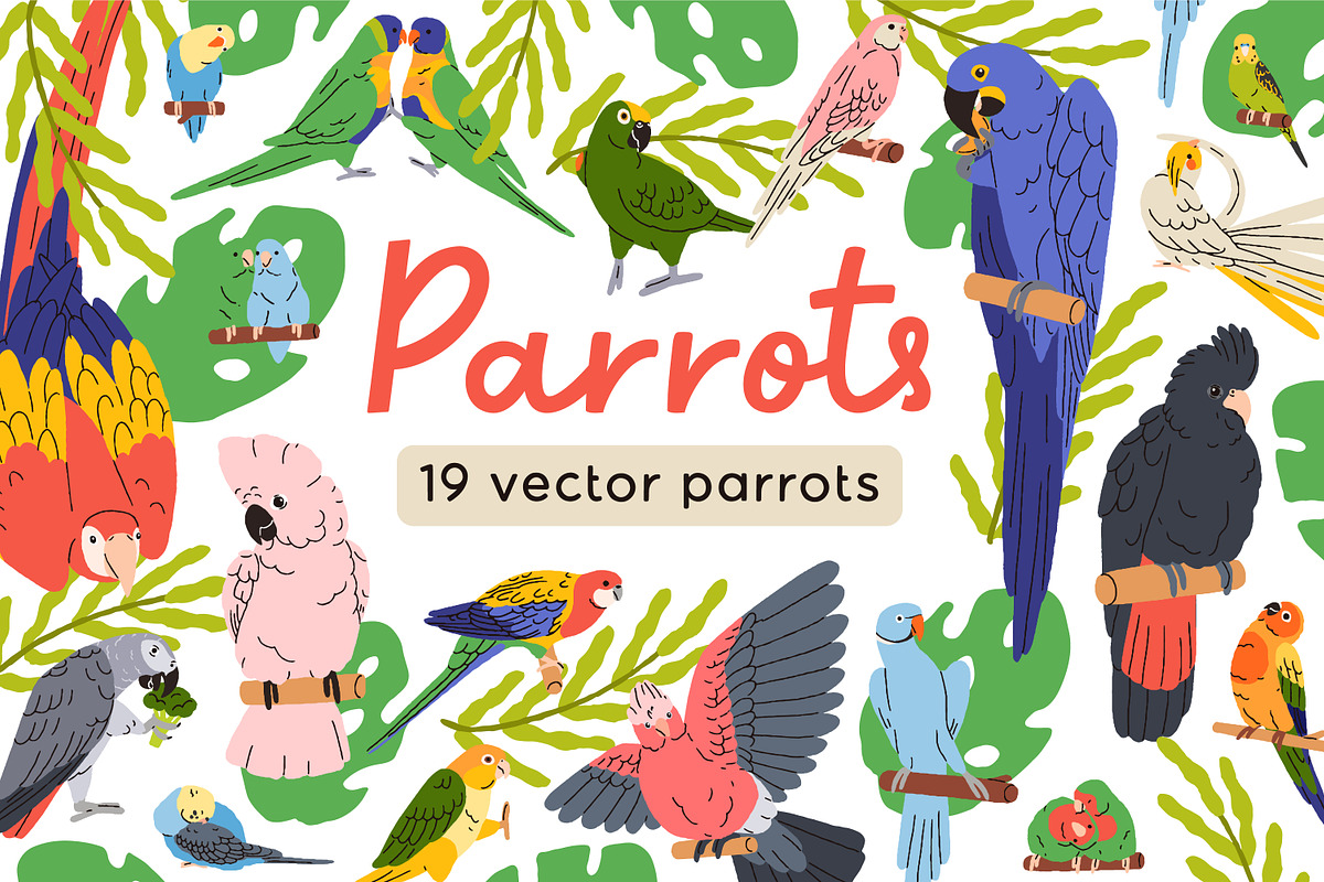 Tropical jungle parrot birds set, an Animal Illustration by Good Studio (Photo 1 of 5)