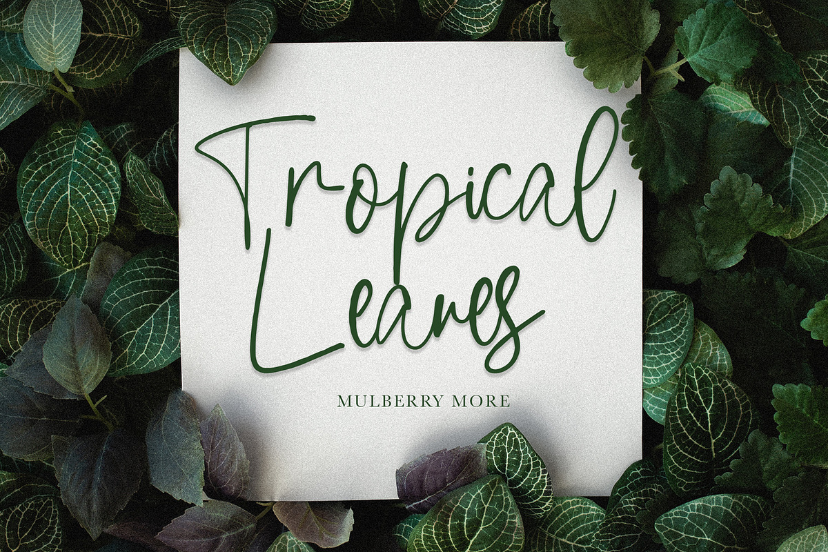 Just Write | Script Font, a Script Font by Jolicia Type (Photo 6 of 9)