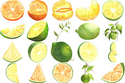 Lemon Lime Orange Watercolor Bundle, a Food Illustration by LilyBoo Clipart (Thumbnail 3 of 6)