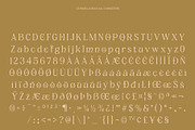 CS Ravella Disco, a Serif Font by Craft Supply Co. (Thumbnail 8 of 8)