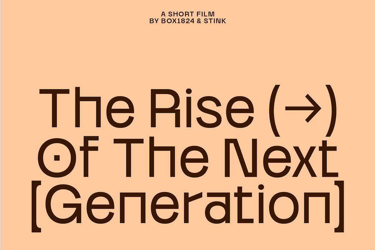 Borde - Brutalist Sans, a Sans Serif Font by The Native Saint Club (Photo 5 of 14)