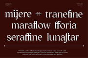 GC Prometheus – Serif Family, a Serif Font by Glyphonic (Thumbnail 3 of 15)