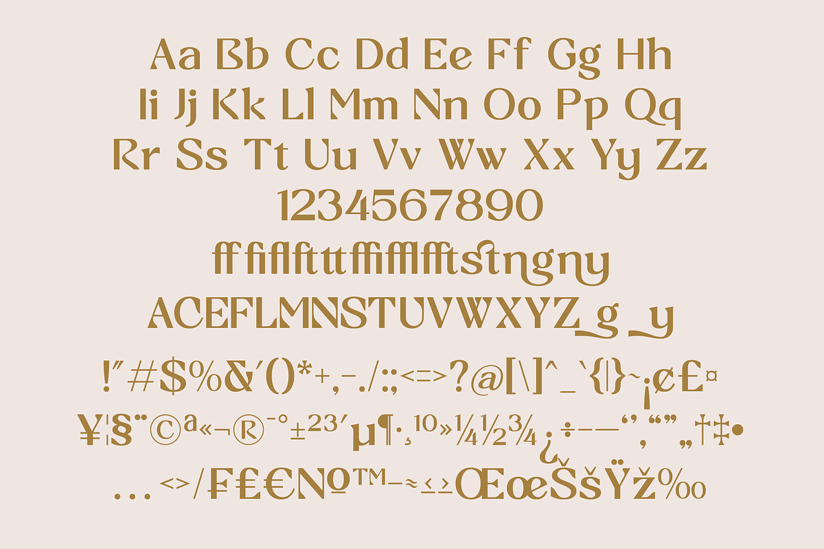 South Blanke Minimalist Sans Serif, a Serif Font by AmorfaType (Photo 10 of 10)