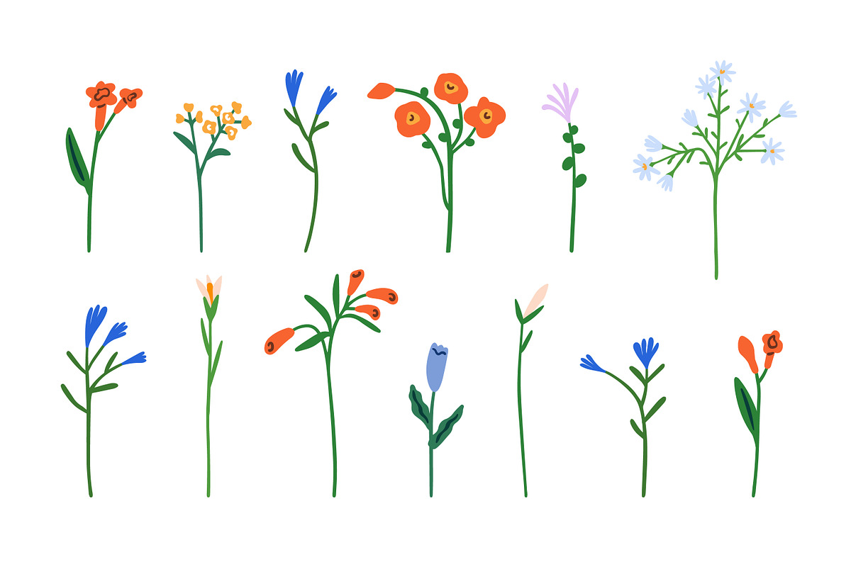 Flowers, blooming plants. Floral set, a Decorative Illustration by Good Studio (Photo 3 of 5)