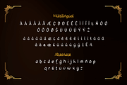 Rowit, a Serif Font by twinstd (Thumbnail 11 of 12)
