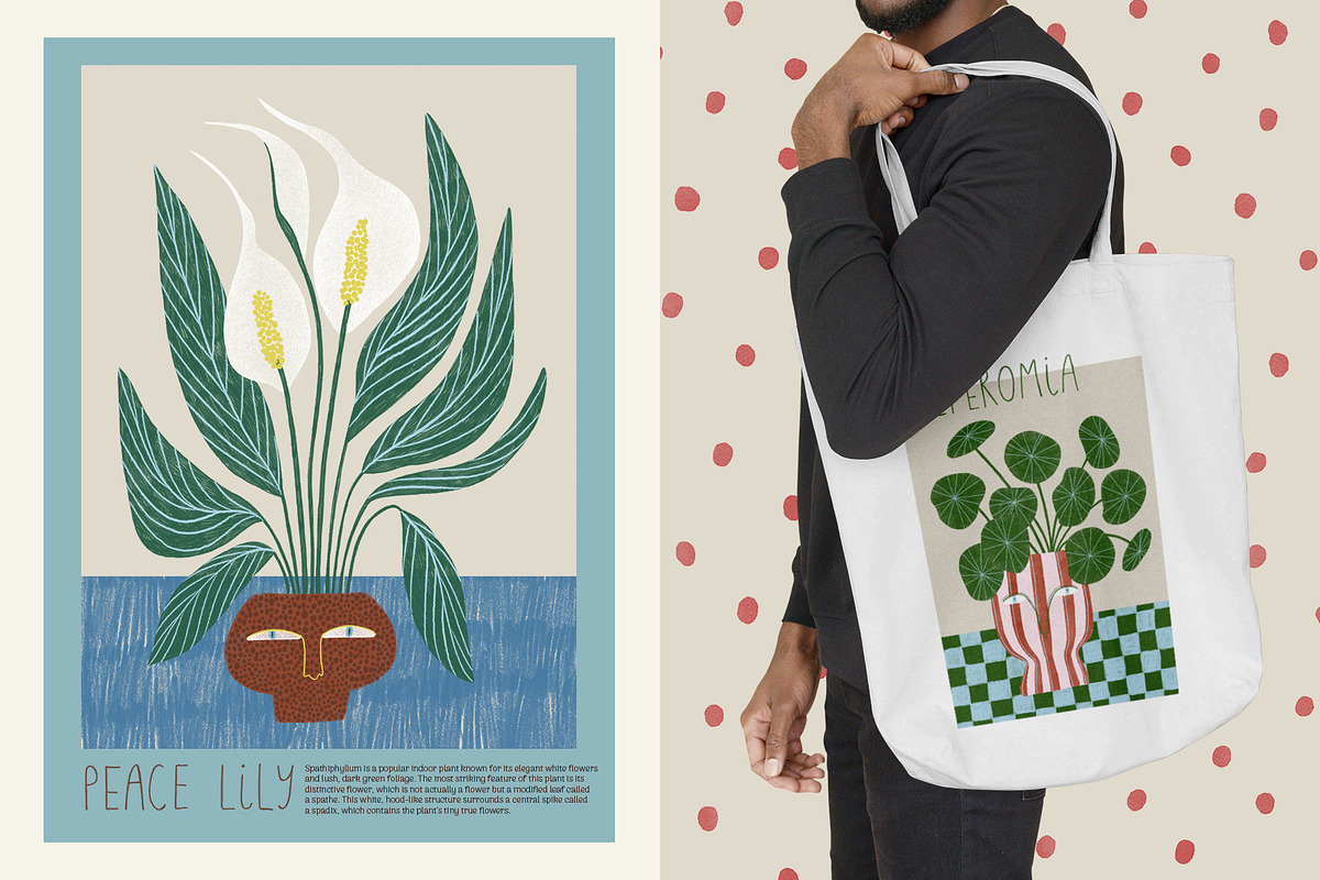 Peperomia - eclectic houseplants, an Illustration by Annakniaz (Photo 3 of 14)