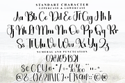 Willing, a Handwritten Font by InermediaSTUDIO (Thumbnail 4 of 8)