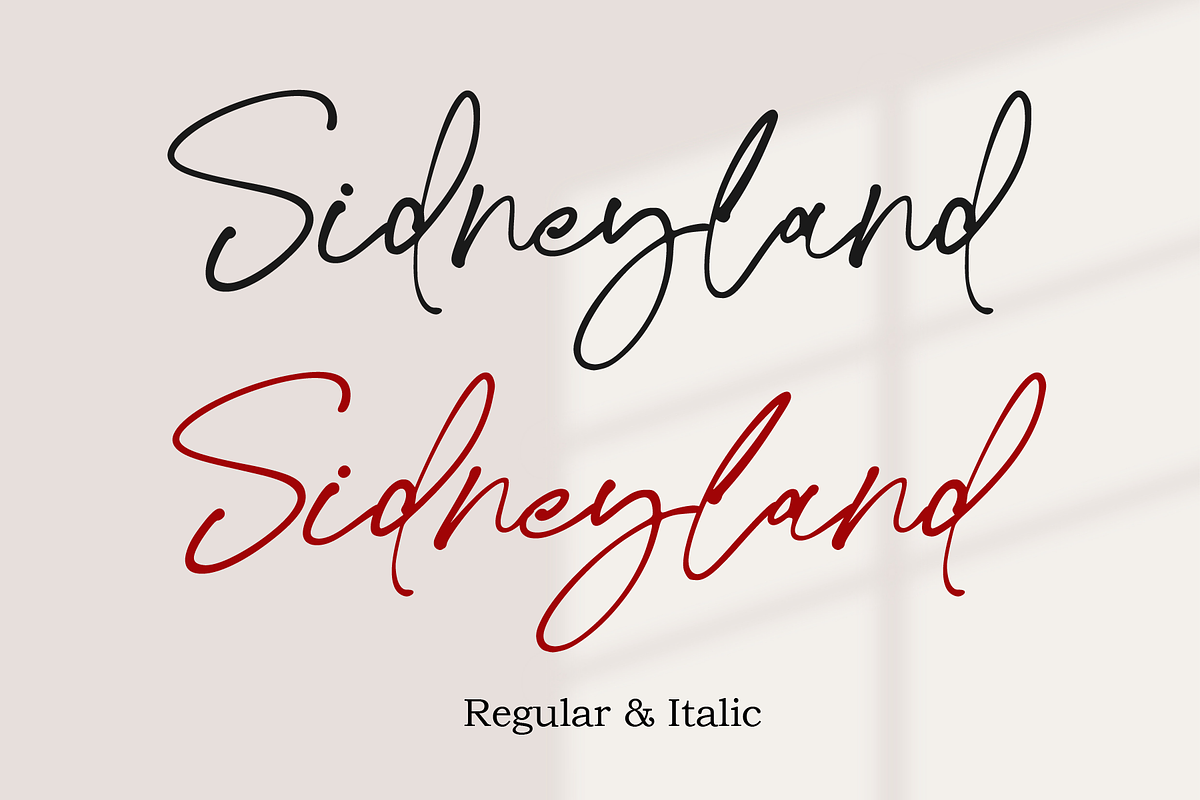 Sidneyland, a Script Font by Ibrahima_Studio (Photo 11 of 13)