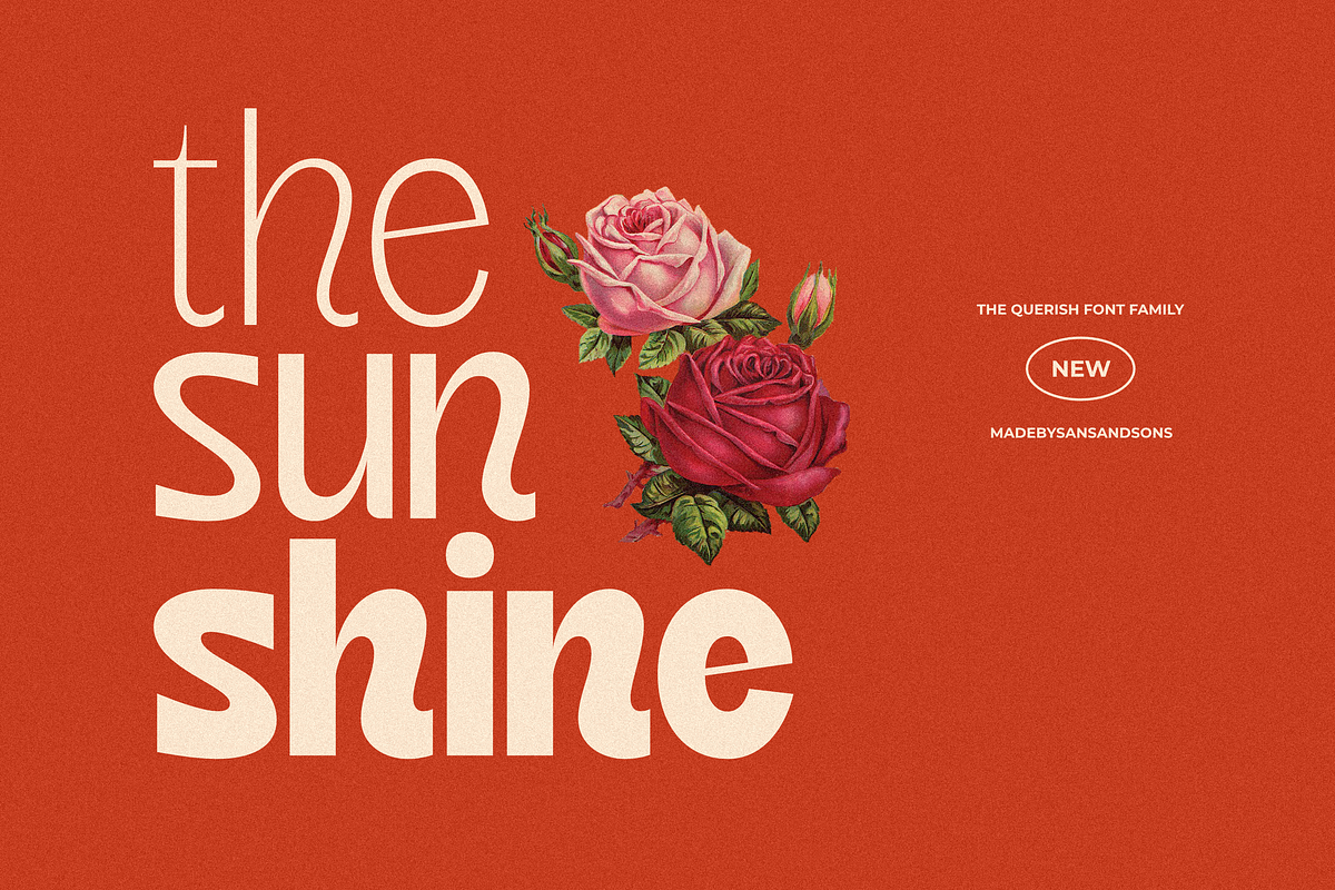 SNS - Querish, a Sans Serif Font by Sans & Sons (Photo 3 of 10)