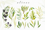 Olives. Watercolor collection, an Illustration by Kuzya's shop (Thumbnail 3 of 8)