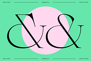 Jamila Stylist Display Serif, a Serif Font by RedyStudio (Thumbnail 8 of 12)