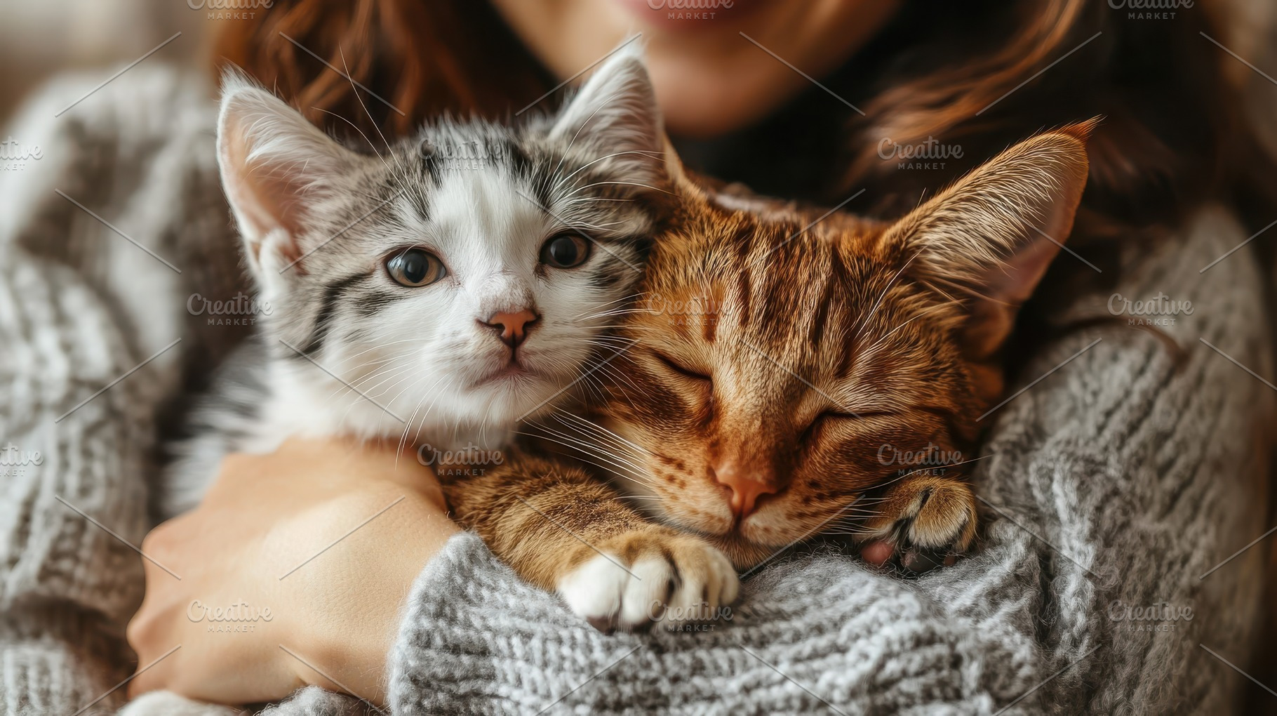 Two kittens, one sleeping ginger tab, an Animal Photo by Pixeness Studio