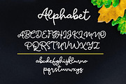 Glypher Script, a Script Font by YandiDesigns (Thumbnail 3 of 3)