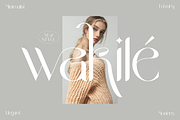 Wakile Stylish Serif Font, a Serif Font by Storytype Studio (Thumbnail 1 of 9)